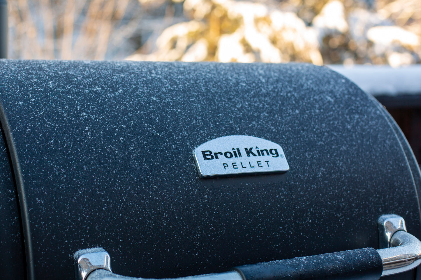 Regal™ Pellet 400
