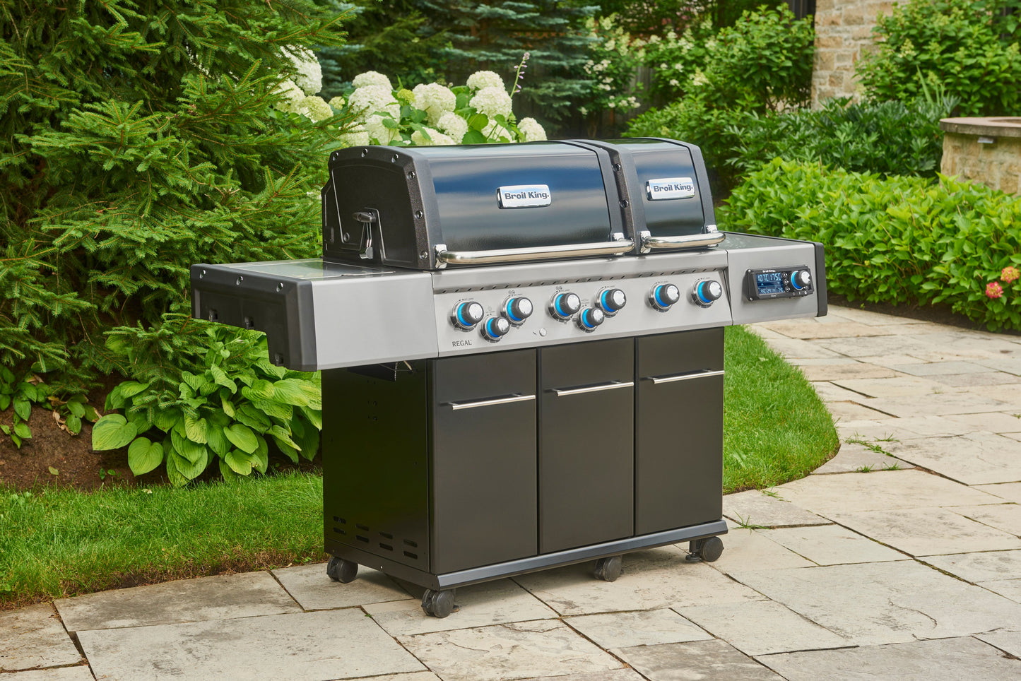 Regal™ Q 690 IR